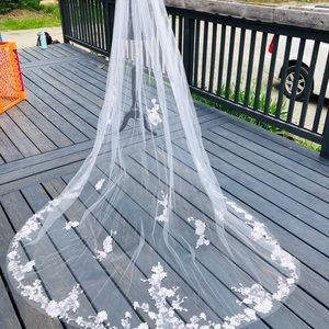 Long Veil with gorgeous lace pattern on the lining